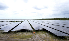 Un chantier Neoen à Cestas, le 19 mai 2015. ( AFP / MEHDI FEDOUACH )
