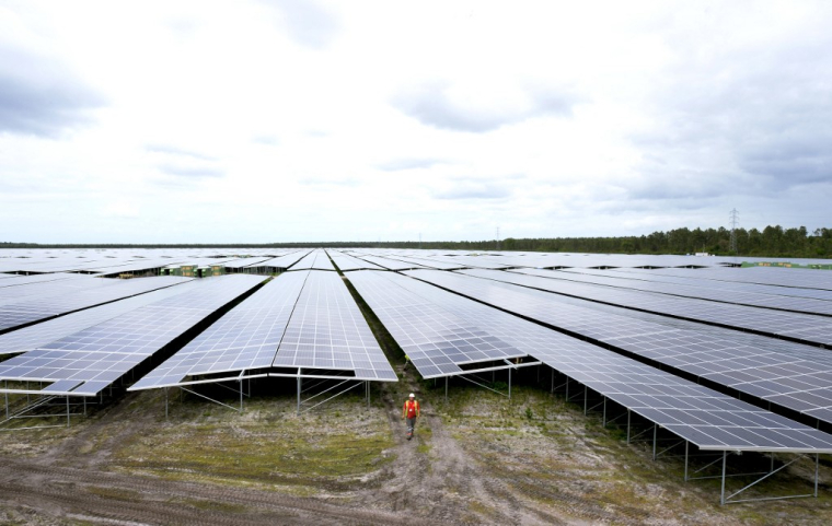 Un chantier Neoen à Cestas, le 19 mai 2015. ( AFP / MEHDI FEDOUACH )