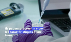 Cancer du sein: l'Institut Curie explore les tumeurs sur puce