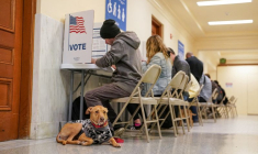 Centre de vote de l'hôtel de ville de San Francisco lors de l'élection primaire du Super Tuesday à San Francisco