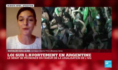 Légalisation de l'avortement en Argentine : "un rugissement a emporté la place aux alentours du Congrès"