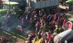 Mobilisation agricole: l'A61 bloquée dans les deux sens à Carcassonne