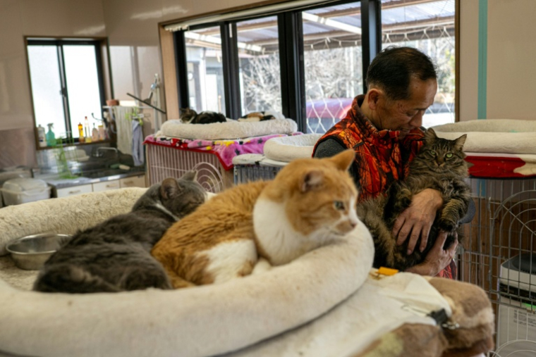 Toru Akama, ancien employé de centrale nucléaire, s'occupe des chats qu'il a recueillis lors d'un entretien avec l'AFP dans son refuge pour animaux à Namie, dans la préfecture de Fukushima, le 5 mars 2026 au Japon ( AFP / Philip FONG )