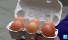 Pénuries de légumes au Royaume-Uni : un problème résolu d'ici "2 à 4 semaines" selon un ministre