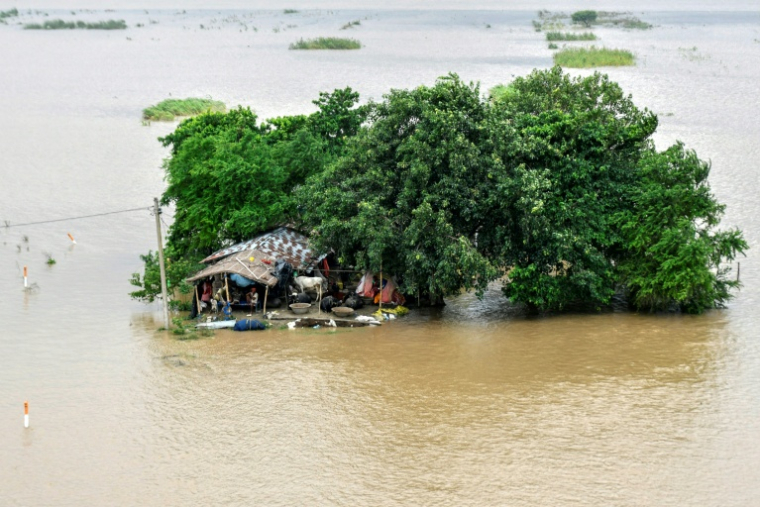 Un abri de fortune partiellement submergé tandis que le débordement du fleuve Gange a inondé la région de Raghopur, dans le district de Vaishali, au Bihar, le 3 septembre 2026 ( AFP / Sachin KUMAR )