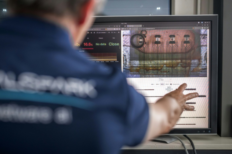 Des cellules cérébrales humaines sur un écran à la start-up FinalSpark, le 3 octobre 2025 à Vevey, en Suisse ( AFP / Fabrice COFFRINI )