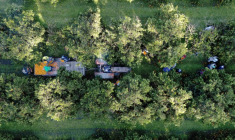 Vue aérienne de travailleurs récoltant des oranges près de San Pedro, province de Buenos Aires, Argentine, 30 juillet 2025. ( AFP / JUAN MABROMATA )
