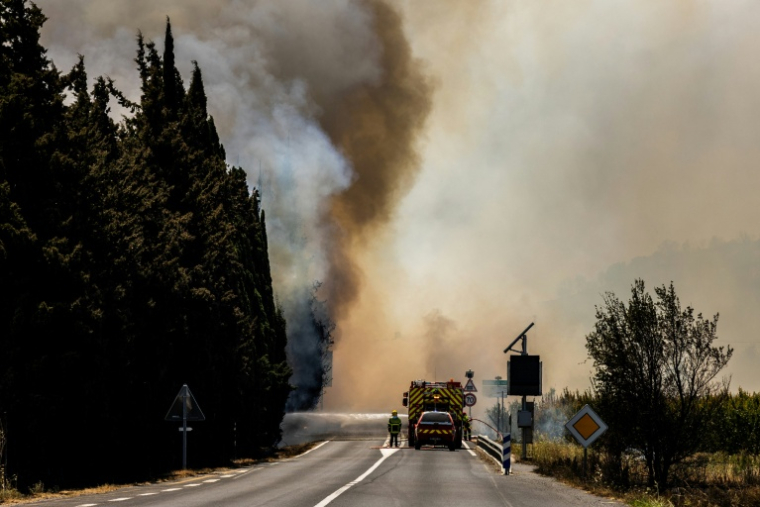 Des pompiers luttent contre un feu de forêt près de la commune de Bouleternère et de Perpignan, le 6 juillet 2026 dans les Pyrénées-Orientales ( AFP / Jean-Christophe MILHET )