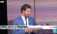 Réuni au Japon, le G7 veut sanctionner les "diamants du sang" russes