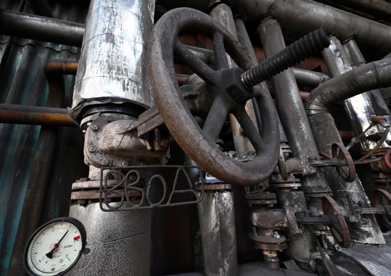 (illustration) ( AFP / GENYA SAVILOV )