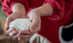 Le prix du riz a grimpé de 71% sur un an au Japon (illustration) ( AFP / YUICHI YAMAZAKI )