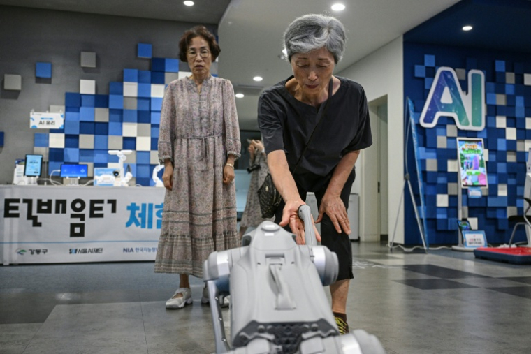 Une femme âgée interagit avec un chien robot à la Seoul Open City University, à Séoul, le 16 juillet 2026 ( AFP / Jade GAO )