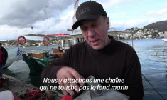 La Grèce se met à l'écomouillage pour protéger les herbiers des fonds marins