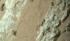 Image fournie par la Nasa le 10 septembre 2025 du rover Perseverance montrant des roches tachetés sur la surface de Mars en juillet 2024 ( NASA/JPL-Caltech/MSSS / HANDOUT )