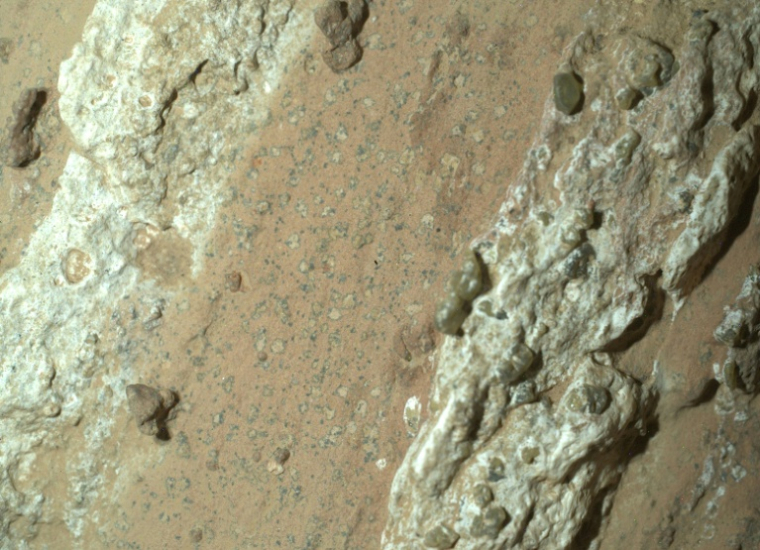 Image fournie par la Nasa le 10 septembre 2025 du rover Perseverance montrant des roches tachetés sur la surface de Mars en juillet 2024 ( NASA/JPL-Caltech/MSSS / HANDOUT )