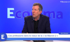 Agents immobiliers, pharmaciens, commerçants : ces professions dans le viseur de la « loi Macron 2 »