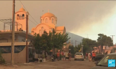 Incendies en Grèce : un quartier d'Athènes évacué, 20 morts dans le pays en 48 heures