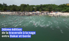 Sénégal: participation record pour la traversée à la nage Dakar-Gorée