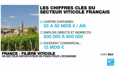 France : baisse historique de la production de vin en vue