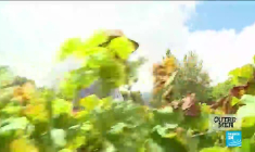 La Nouvelle Calédonie et Wallis-et-Futuna confinés