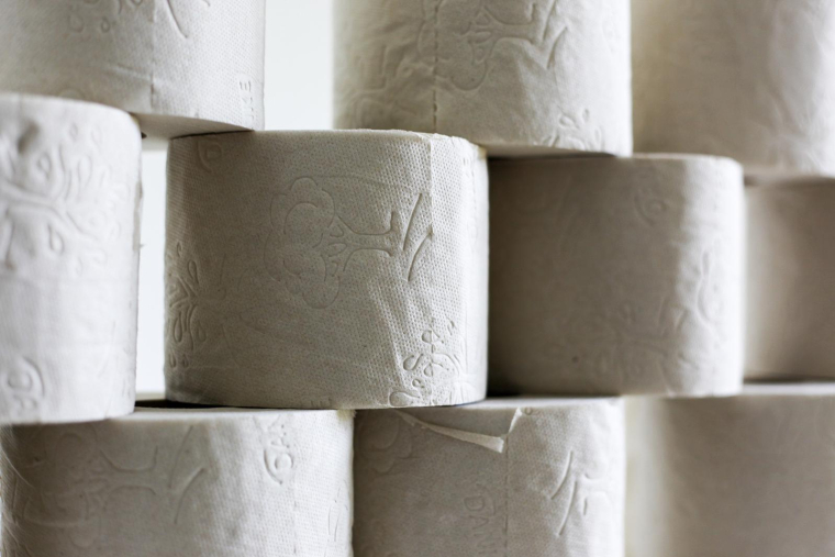 D’après la WWF, il faudrait abattre 27 000 arbres chaque jour pour la production de rouleaux de papier toilette classique. (Illustration) (Jasmin_Sessler / Pixabay)