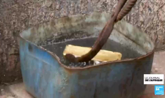 Cameroun : réactions mitigées après l'annonce de la candidature de Paul Biya