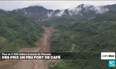 Le dérèglement climatique (en partie) responsable de la hausse des prix du café