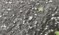 Orages: Paris frappé par d'importantes chutes de grêle