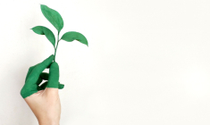 Vous hésitez encore ? Découvrez quatre bonnes raisons d’investir dans la finance durable. (Crédit Pexels)