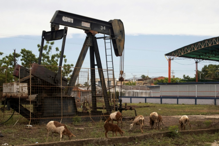 Des agneaux paissent près d’un chevalet de pompage à Campo Progreso, dans la localité de Bachaquero, État de Zulia, au Venezuela ( AFP / Margioni BERMÚDEZ )