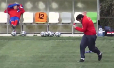 Une attaque d’abeilles interrompt un match amateur au Portugal