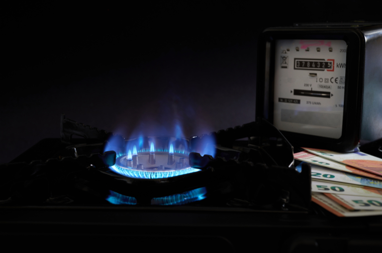 (Crédits photo: © vetre - stock.adobe.com)