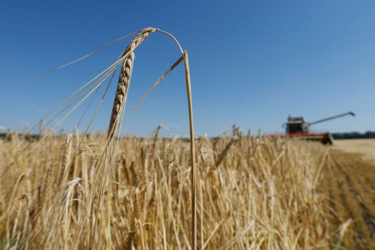 KYIV OFFICIALISE LA FERMETURE DES PORTS BLOQUÉS PAR LA RUSSIE, VERS DES LOURDES PERTES DE CÉRÉALES