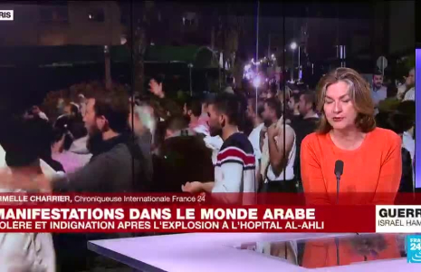 Guerre Israël-Hamas : "les gouvernements des pays arabes veulent éviter l'embrasement absolu"
