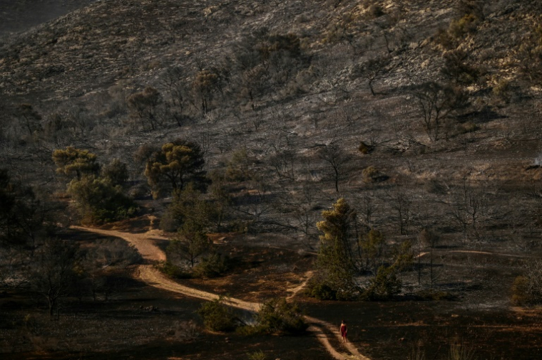 Des personnes marchent sur un sentier de forêt à Palaia Fokaia ravagé par les flammes, au sud-est d'Athènes,le 9 août 2025. ( AFP / Aris MESSINIS )