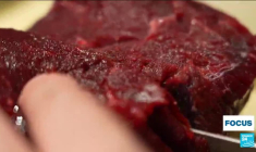 Japon : la chasse à la baleine, une tradition culinaire bien ancrée