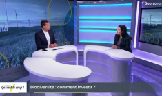 Biodiversité : comment investir ?