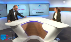 IPO : Y participer ou pas ?