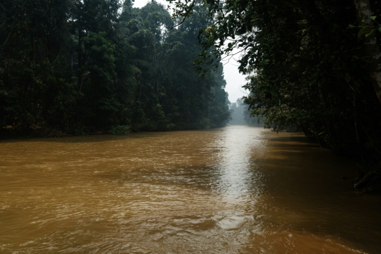 Une rivière qui, selon les habitants, a été polluée par l'extraction de nickel dans une zone forestière du centre de l'île de Halmahera, dans le nord des Moluques, le 17 avril 2025 en Indonésie ( AFP / YASUYOSHI CHIBA )