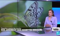 En France, les chercheurs appellent les automobilistes à les aider