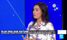 Coup de froid sur les dinosaures