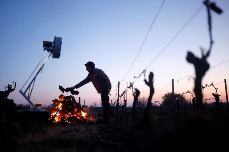 GEL: LA FNSEA SALUE LE MILLIARD D'EUROS D'AIDES AUX AGRICULTEURS