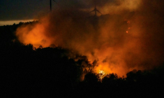 Un feu de forêt à Pouzols-Minervois, le 1er juillet 2026 dans l'Aude ( AFP / Idriss Bigou-Gilles )