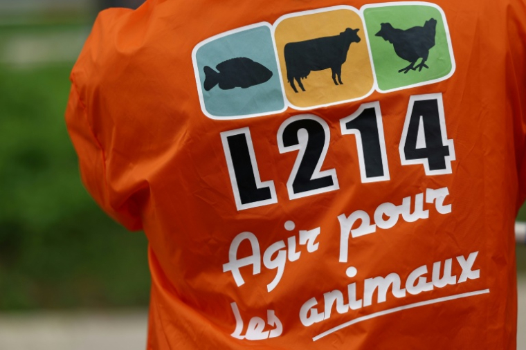 L'association animaliste L214 a annoncé jeudi avoir porté plainte contre un élevage porcin du Morbihan, accusé notamment de "sévices graves" sur des porcelets ( AFP / Emmanuel Dunand )