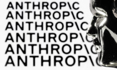 ( AFP / JOEL SAGET )