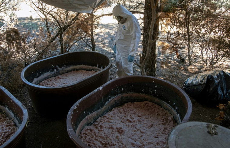 Un expert de l’armée mexicaine près de conteneurs contenant de la pâte de méthamphétamine dans un laboratoire clandestin près de La Rumorosa, au Mexique, le 28 août 2018  ( AFP / Guillermo Arias )