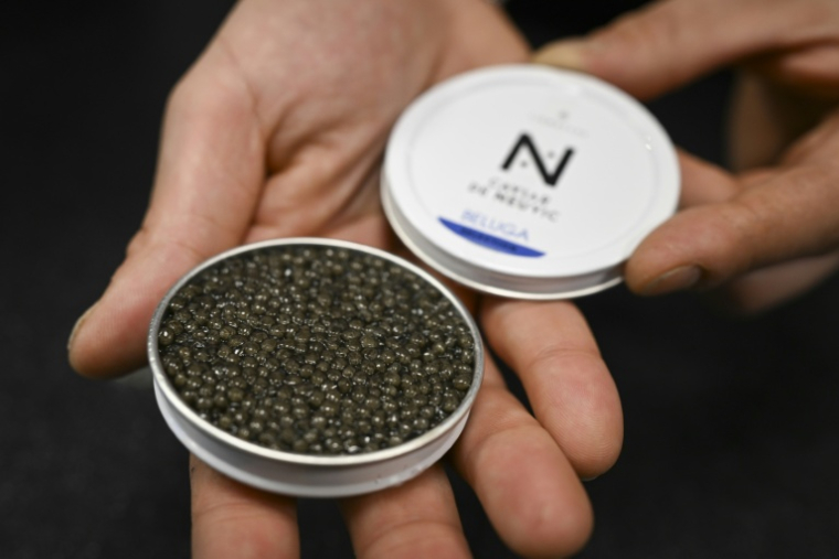 Une boite du caviar de Neuvic, à Paris, le 11 décembre 2025 ( AFP / Nikolay DOYCHINOV )