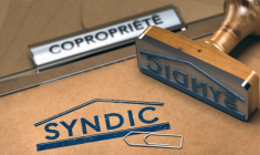 (Crédits photo : Adobe Stock -  )