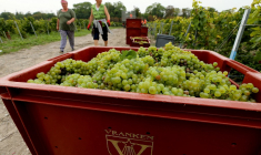 ( AFP / FRANCOIS NASCIMBENI )