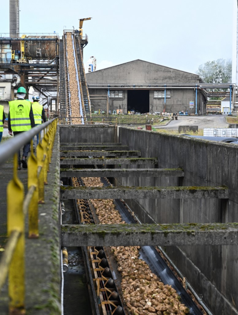 Photo d'illustration.  ( AFP / DENIS CHARLET )